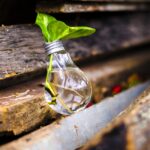 bulb-2587637_1280